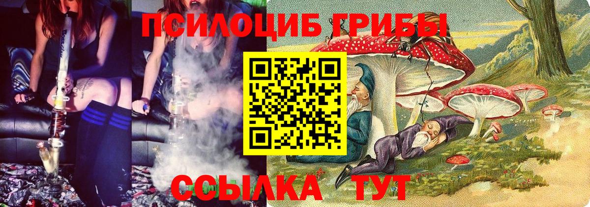 Галлюциногенные грибы Cubensis Орск