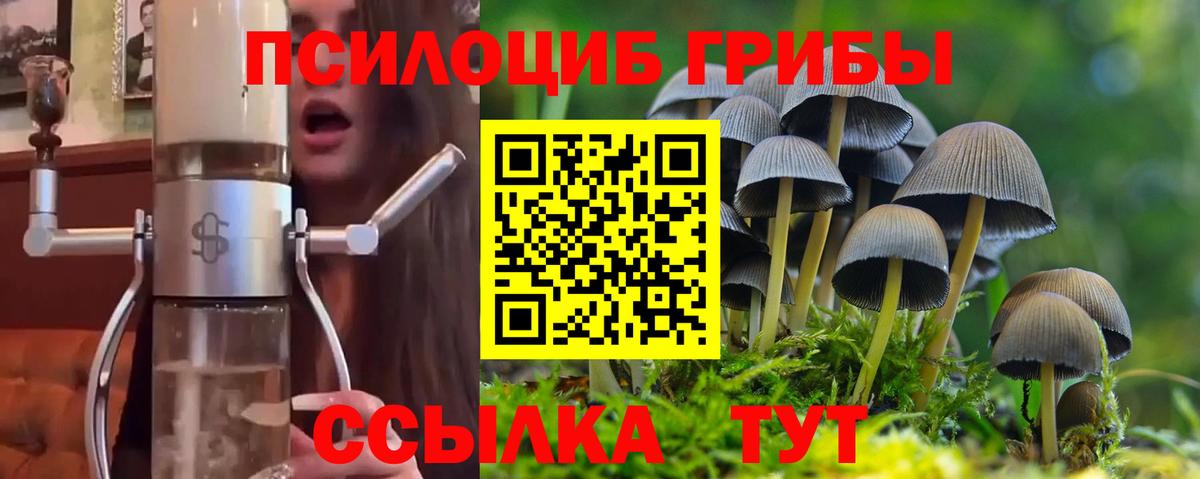 Орск  Псилоцибиновые грибы GOLDEN TEACHER  Вход с VPN 